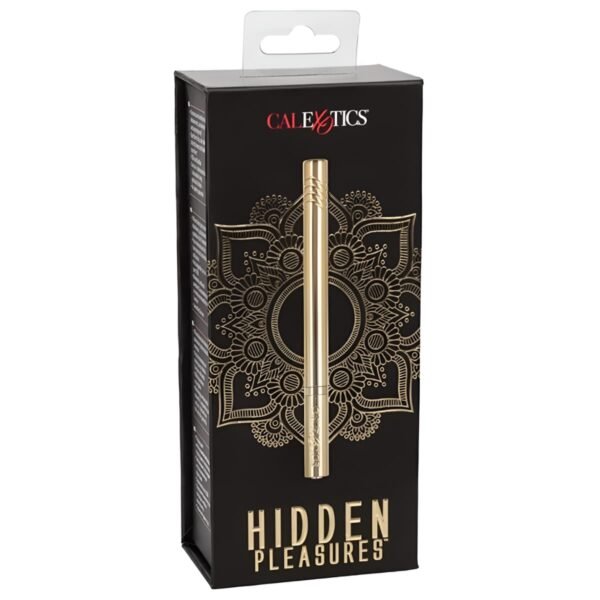 HIDDEN PLEASURES